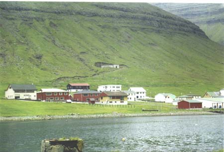 Færøerne43
