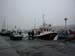 Færøerne 614 Torshavn Fisketorv